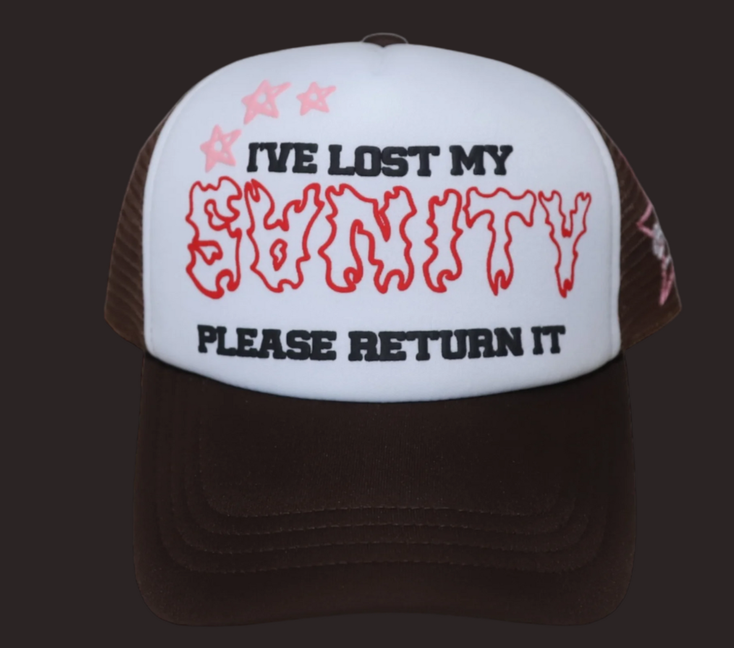 I’VE LOST MY SANITY TRUCKER HAT
